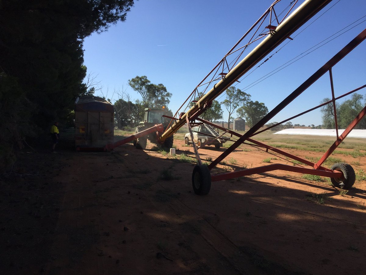 Daniel Fox tweet media