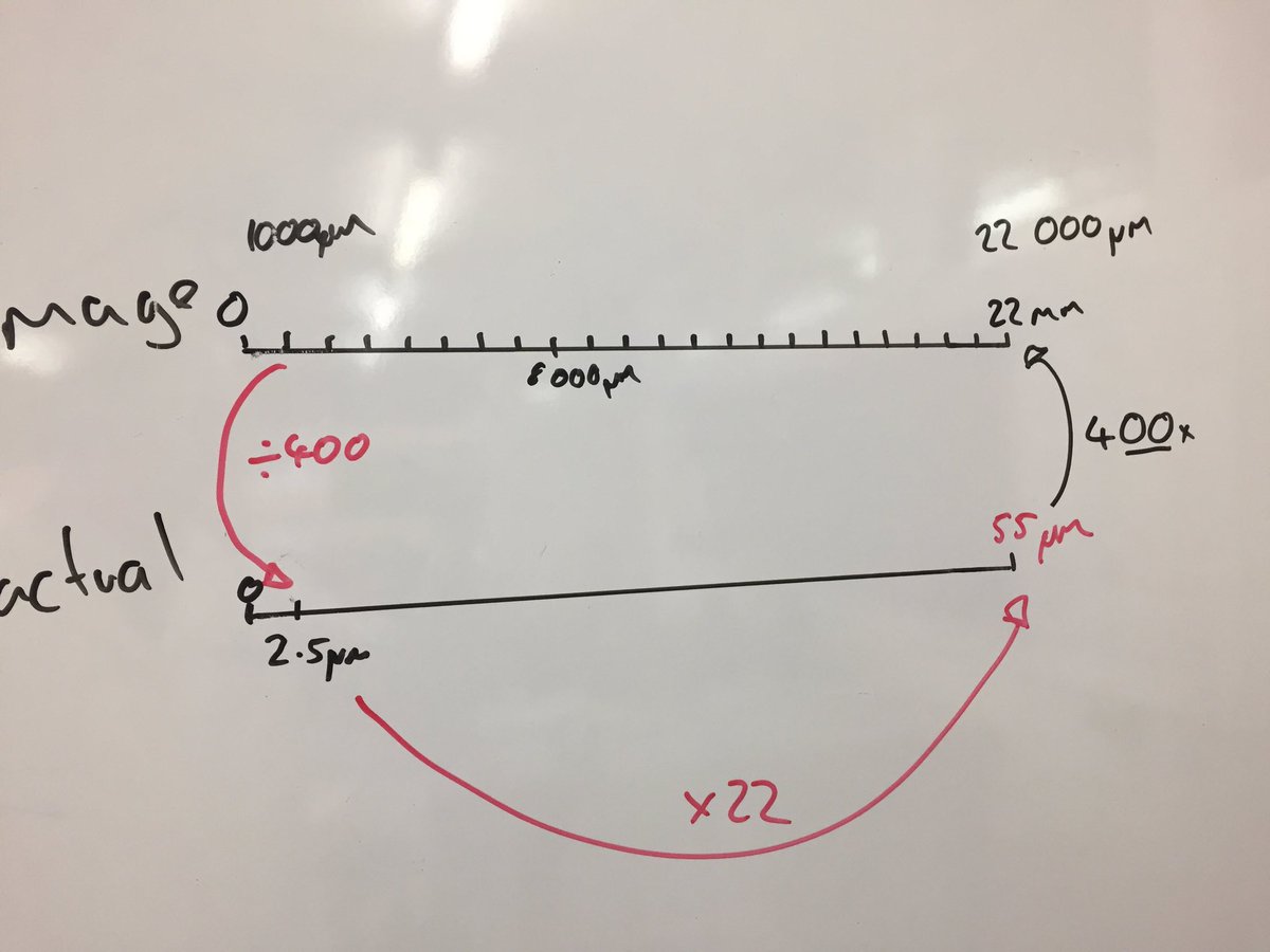 Jon Hale tweet media