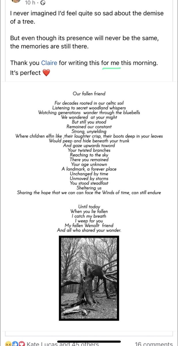 richard lock tweet media