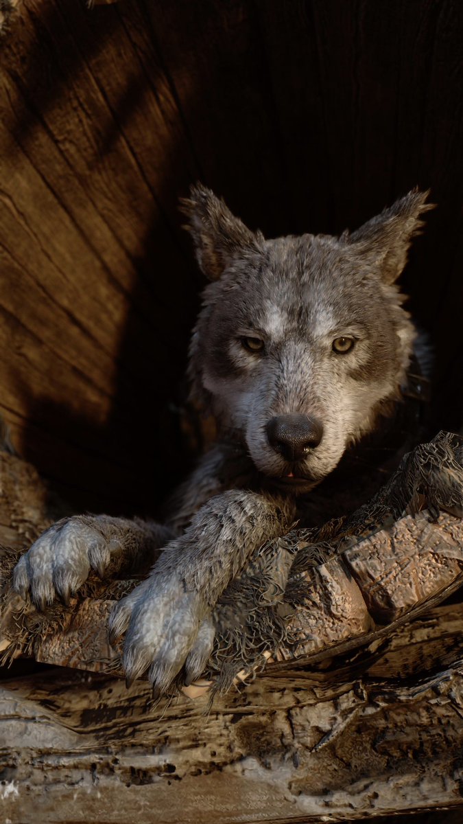 Veldroda tweet media