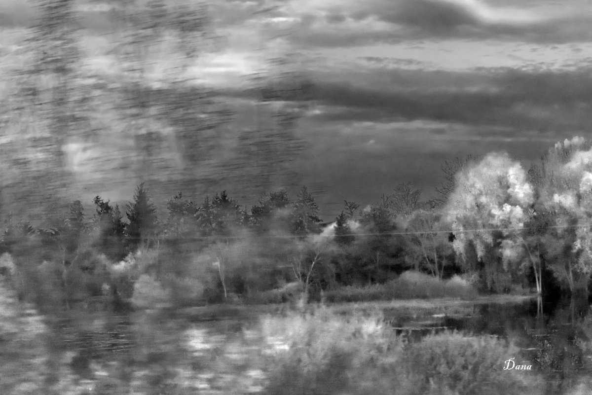 Landscape in black and white
#landscapephotography 
#landscape 
#photo 
#Nikon 
#nikonglobal 
#nikonphotography