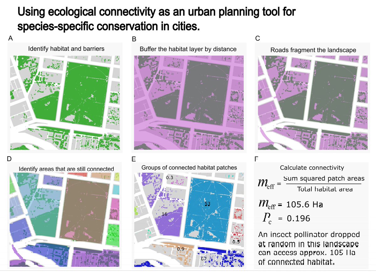 HollyKirk's tweet photo. 📣We have a new OA paper out now!
This is the 1st in a series that highlights how ecological connectivity can be used as a tool for #urbanNature conservation.

Here we show how to use a simple connectivity measure to compare #urbanplanning scenarios:

https://t.co/ZSmCJc46Mi https://t.co/13NodmAd7U
