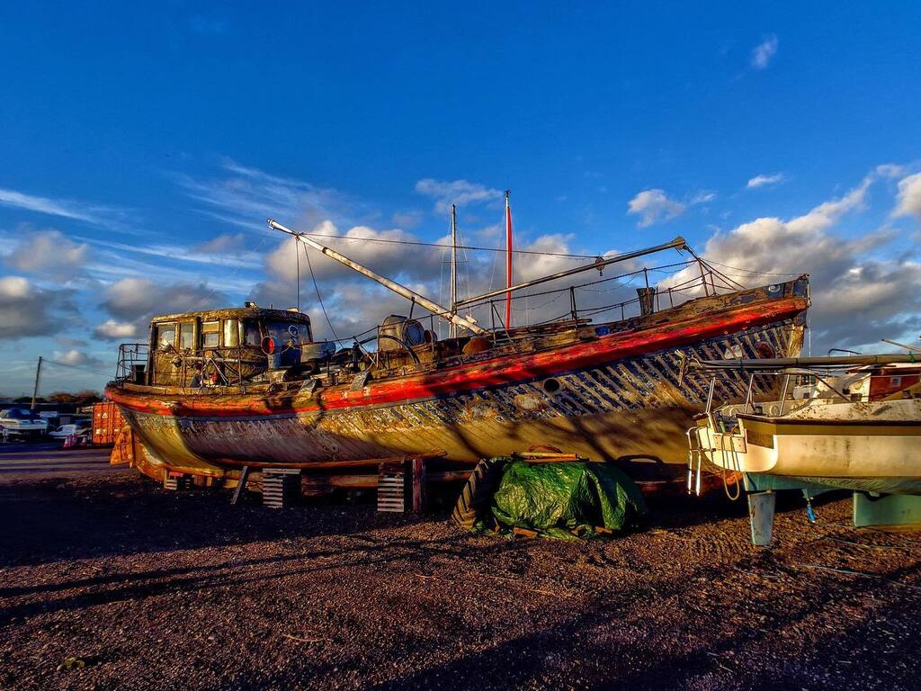 Seaside Sessions tweet media