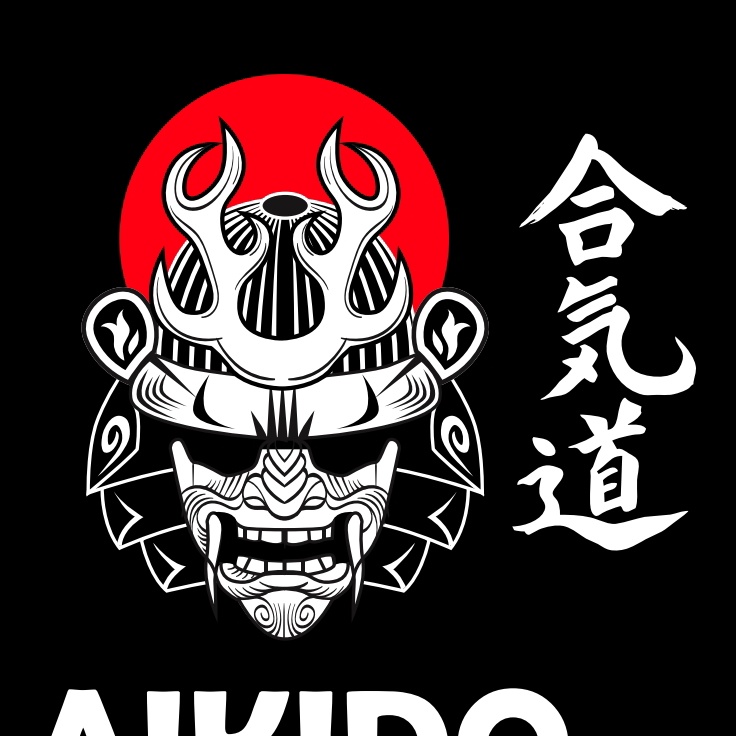 Aikido Valdemoro (@AikidoValdemor) / Posts / X
