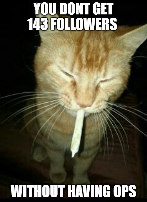 nomfcap2's tweet image. 