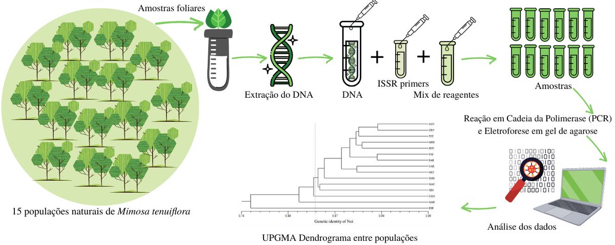 ufrnbr's tweet image. O trabalho, fruto da dissertação de Kyvia Pontes Teixeira das Chagas, sob orientação do professor Fábio Vieira, da EAJ/UFRN, observou que todas as populações apresentaram baixos valores de diversidade genética, além de decréscimos populacionais significativos. (+)