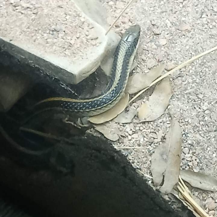 DrakeFowler18's tweet image. 