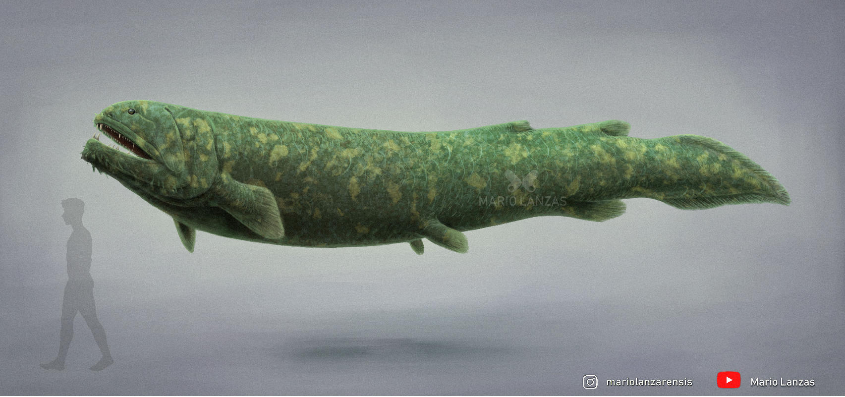 Mario Lanzas on Twitter: "RHIZODUS (from the Carboniferous themed video:  https://t.co/xh36tw30Kp) Probably one of the largest lobe-finned fish ever  existed #paleoart #rhizodus #carboniferous #sayhitograndpa #naturalhistory  #bigfish https://t.co ...