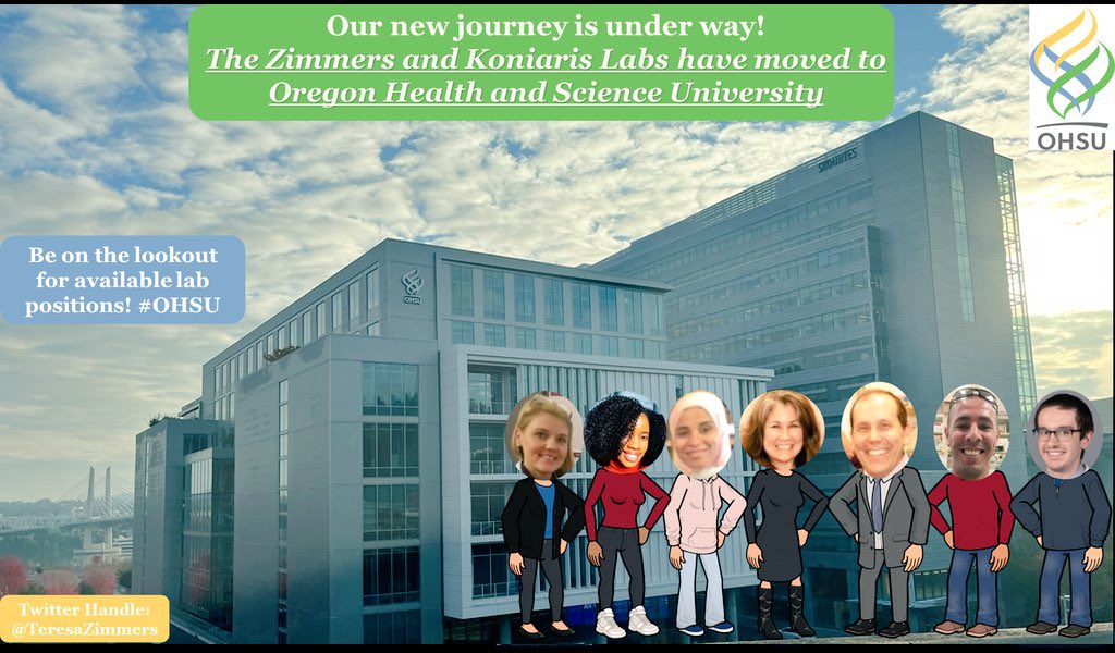 Teresa Zimmers (@teresazimmers) on Twitter photo So excited to announce our move to <a href="/OHSUSOM/">OHSU School of Medicine</a> <a href="/OHSUKnight/">OHSU Knight Cancer Institute</a> to work with the amazing <a href="/coussens_lisa/">LisaCoussens@CoussensLab</a> <a href="/SearsRosie/">Rosie Sears</a> <a href="/MDgrossbergPhD/">Aaron Grossberg</a> <a href="/JonBrodyPhD/">Jonathan Brody PhD</a> <a href="/Marks_Lab/">Daniel Marks</a> @MDRoeland. Come work with us to defeat #cancercachexia #cachexia So excited to announce our move to <a href="/OHSUSOM/">OHSU School of Medicine</a> <a href="/OHSUKnight/">OHSU Knight Cancer Institute</a> to work with the amazing <a href="/coussens_lisa/">LisaCoussens@CoussensLab</a> <a href="/SearsRosie/">Rosie Sears</a> <a href="/MDgrossbergPhD/">Aaron Grossberg</a> <a href="/JonBrodyPhD/">Jonathan Brody PhD</a> <a href="/Marks_Lab/">Daniel Marks</a> @MDRoeland. Come work with us to defeat #cancercachexia #cachexia
