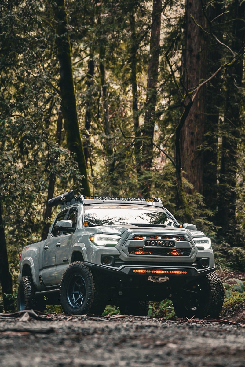 Cali Raised LED tweet media