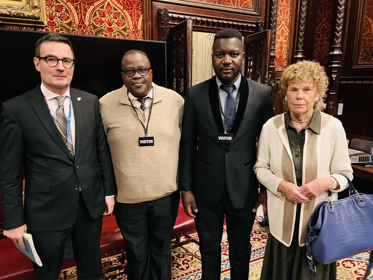 At the debate @UKHouseofLords the issues raised were the political persecution of @JobSikhala1 @MakomboreroH @JoanaMamombe @ceechimbiri2 @MarovaNetsai @daddyhope and many others, and that they should be released. #FreeWiwa #JusticeForMoreblessingAli