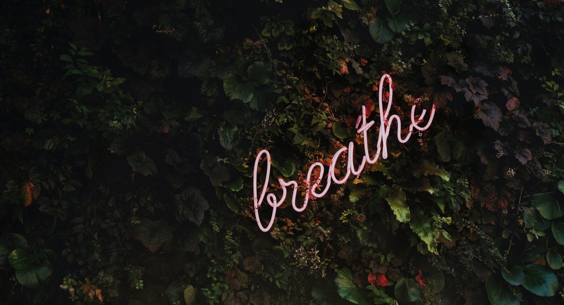 Nathan Walker tweet media