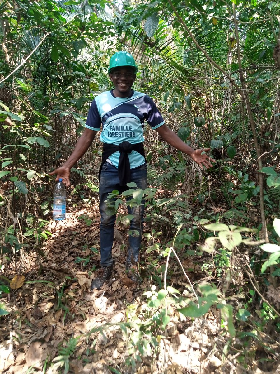 BaurelJean's tweet photo. Monitoring and identification of forest degradation and disturbance factors  using innovative technologies drone monitoring and alerting with the RADD tool (locality Bamendou-Sonkeng reserve. Apk Global Forest Watch
@flag
@WorldResources
@ONU_fr
@YALDACameroon
@1popmovement https://t.co/dCdkC5esMj