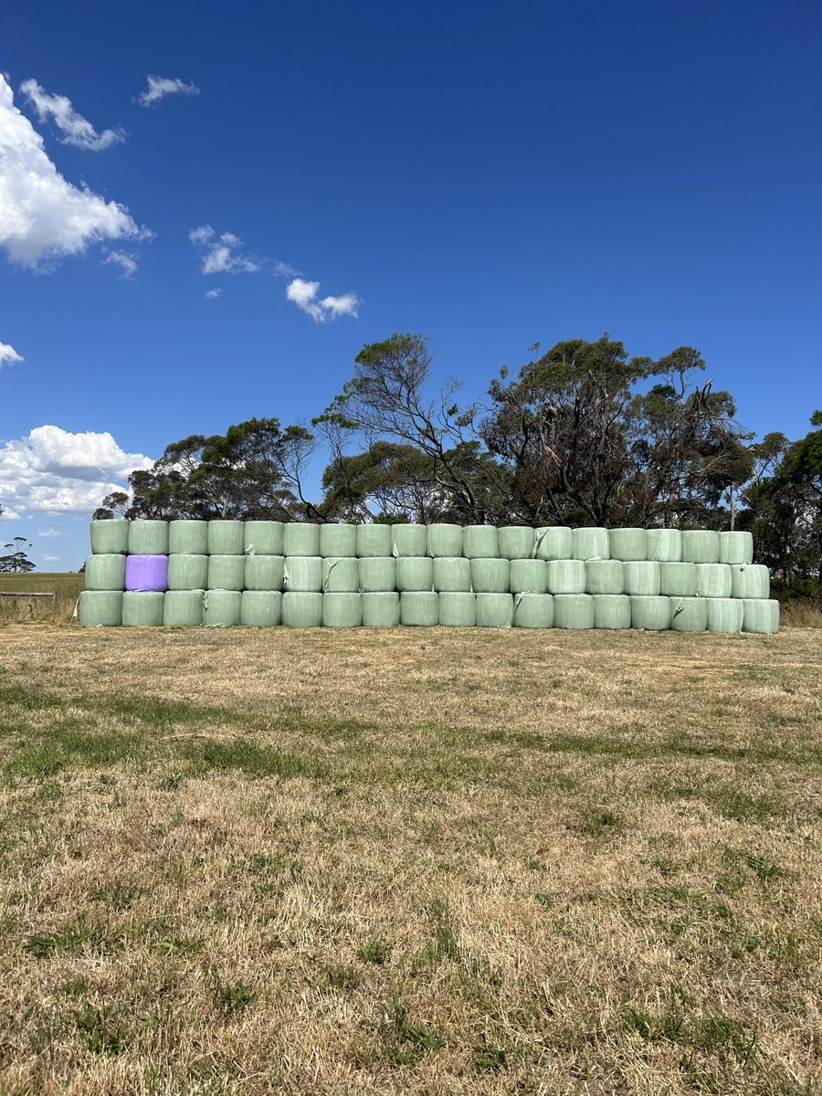 I wonder if I’ll trigger any negative comments from the kids about my silage stack 😂😂😎 #ocdlife