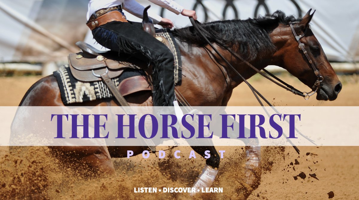 The Horse First podcast offers insights and hope to horse owners dealing with challenging equine health issues. Tune in and follow us to get the latest podcasts. 🙌  #horsehealth #equinehealthhttps://declue-equine.com/podcast/