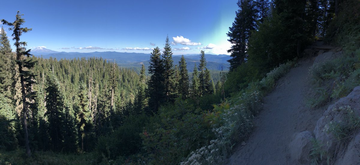 Forest Service NW tweet media