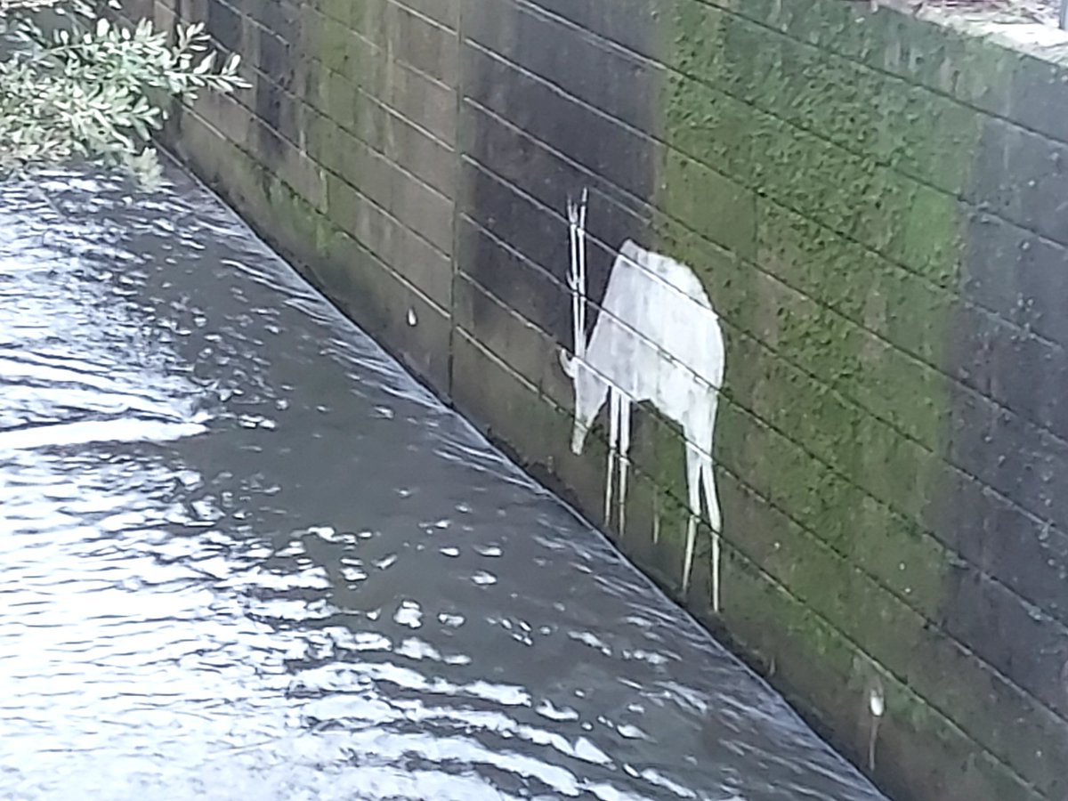 Went white stag hunting today out Kidbrooke, Lee and Grove Park way for the
#LewishamNatureMan esotric #Murals