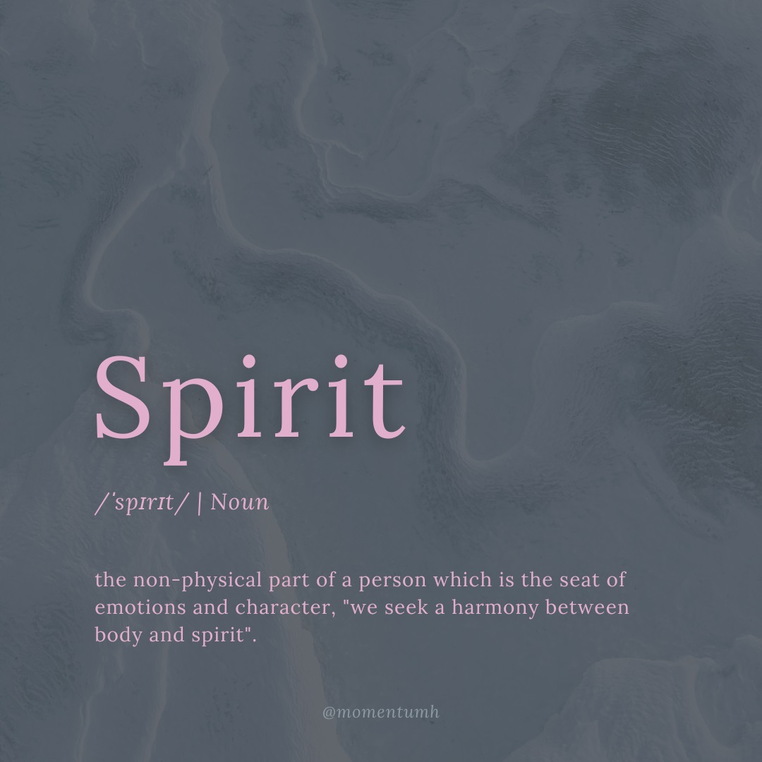 Momentum Healthcare tweet media