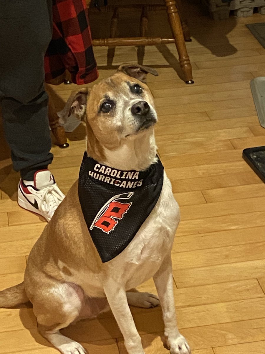 meggiebeth96's tweet photo. Hello Elliot would like to remind you to vote. #NHLAllStarVote   Martin Necas https://t.co/kp6AInaVr1