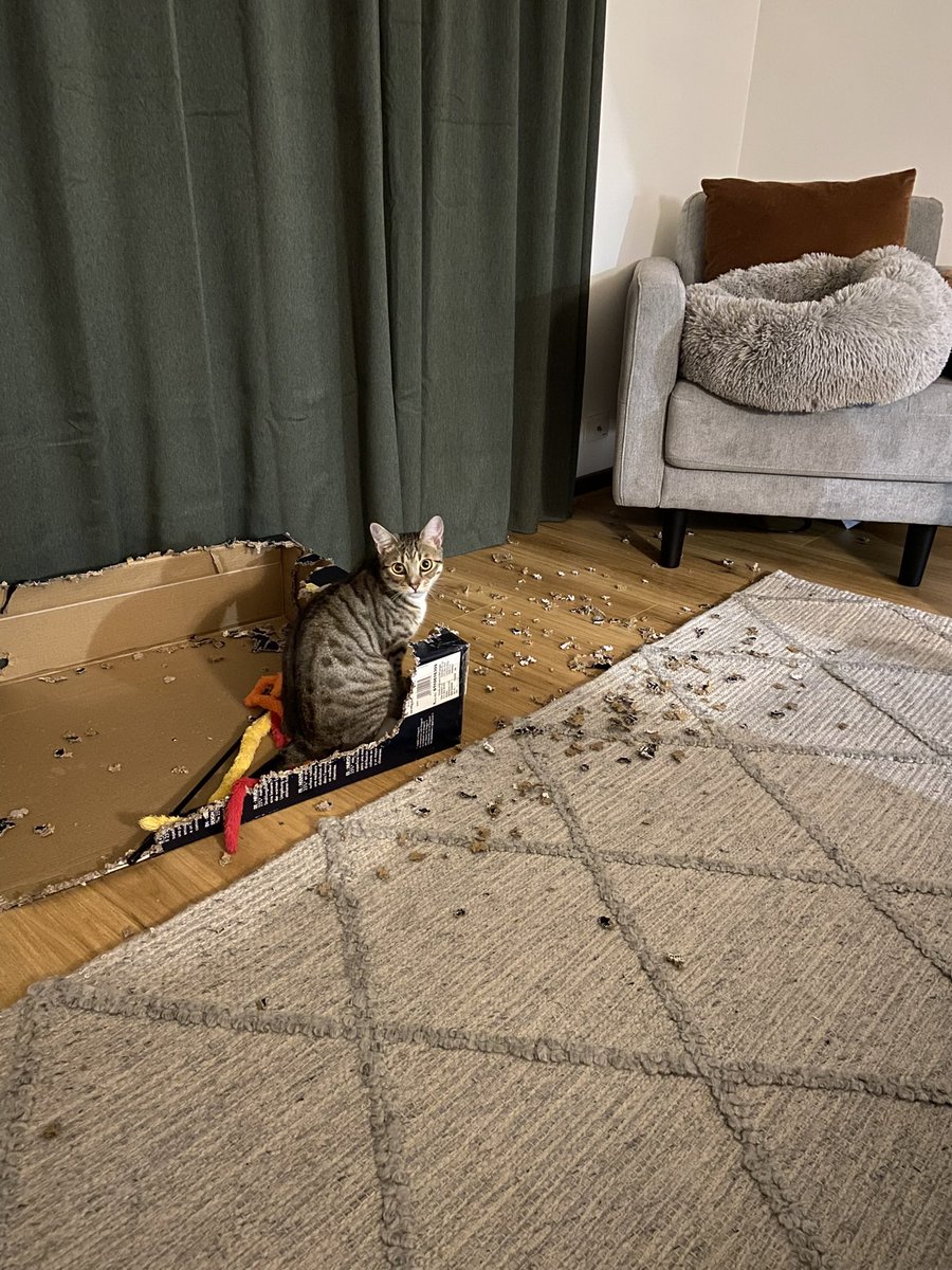 basement_kat's tweet photo. @bunsenbernerbmd https://t.co/lDL6PKD248