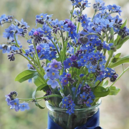 私を忘れないで の評価や評判 感想など みんなの反応を1週間ごとにまとめて紹介 ついラン