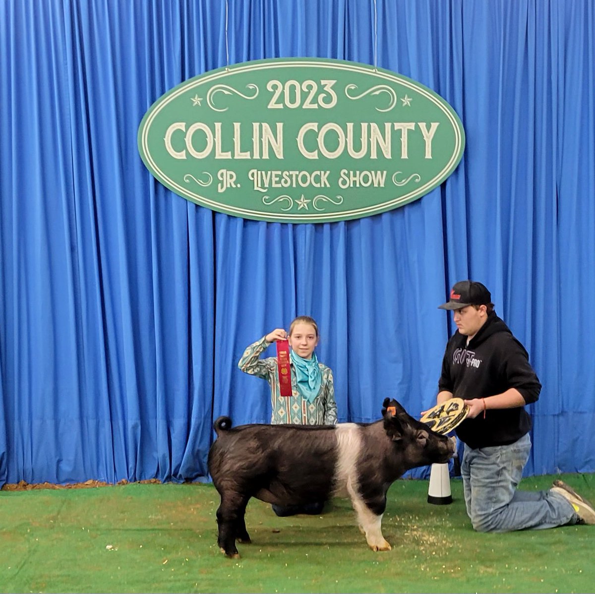Congratulations to our Swine exhibitors at Collin County.  We had 16 pigs make sale!! 
What a great achievement to make sale and earn a premium for your project.