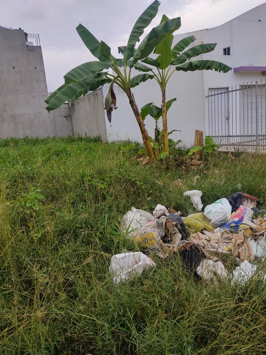 verdaya's tweet photo. @PlaneacionMtr
La JAC Campo Alegre, le recuerda a los propietarios de lotes que deben cumplir con la debida limpieza y cerramiento, evite un comparendo ambiental -Código Nacional de Policía y Convivencia. Este lote ubicado en la calle 31 con cra 3, es utilizado como basurero. https://t.co/sdg06uu4Kj