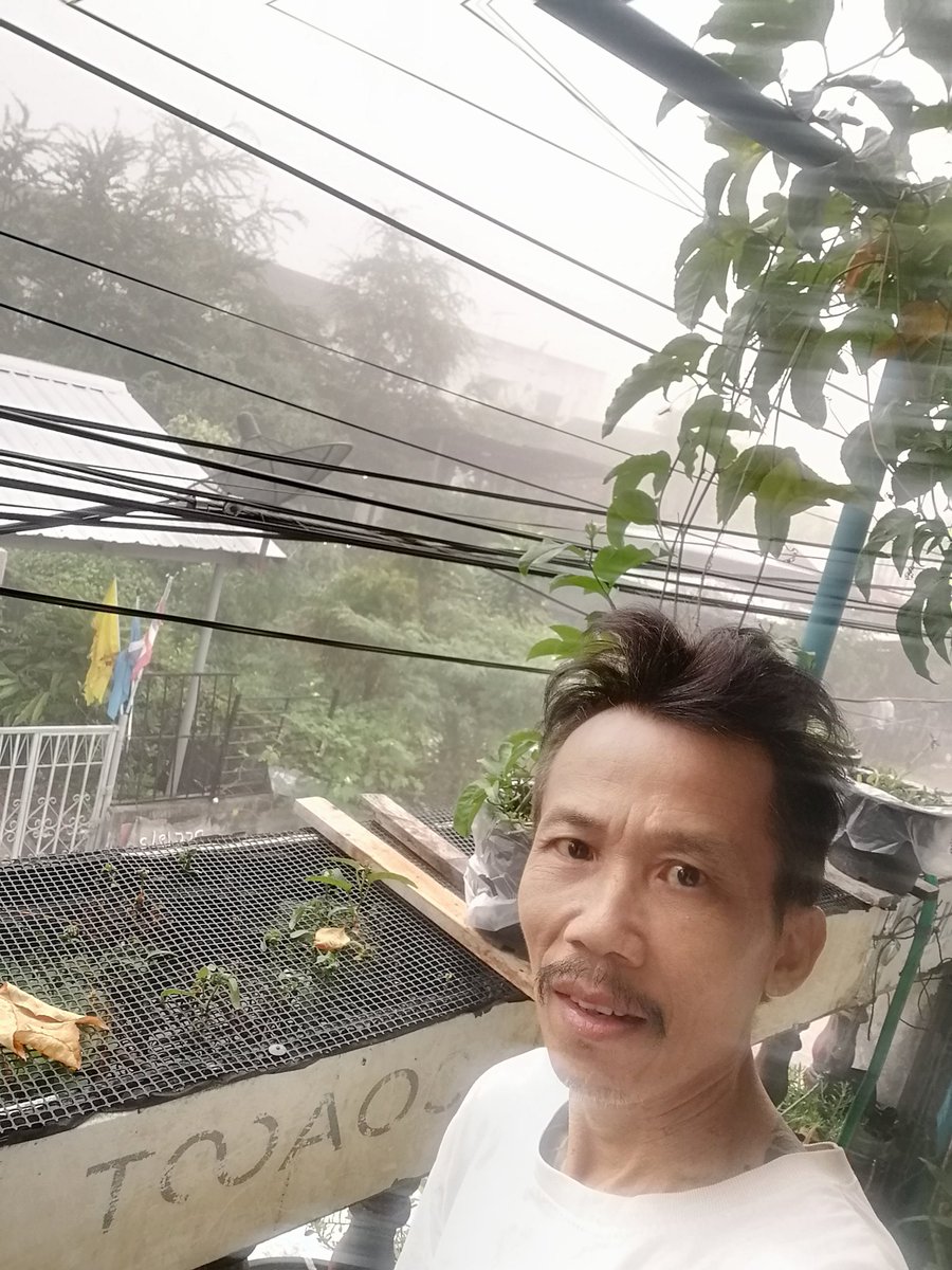 ChangTadphm's tweet photo. 🌨️🌨️ตื่นมาพร้อมกับทะเลหมอก​ เมืองขอนแก่นหมอกคลุมทั้งเมือง​ อยู่มาตั้งแต่ปี่2528  พึ่งจะเจอ​ ❄️❄️ https://t.co/9LKE6eqS8K