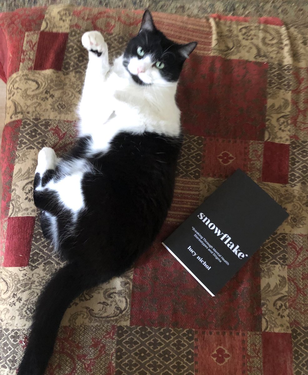 SNOWFLAKE BOOK GIVEAWAY 

To enter:

❄️ Follow me
❄️ RT this

And I’ll pick a random winner by 1st Feb to get a signed copy of Snowflake - an accessible and entertaining exploration of mental health stigma. 

UK only

NB cat not included. Just exploiting feline shareability…