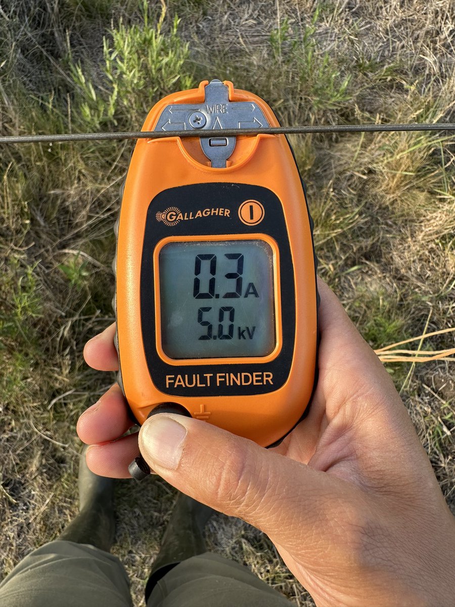 Fernanda Guerra👩🏼‍🌾🇺🇾 tweet media