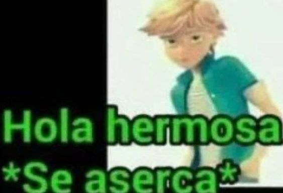 PARRAytOficial's tweet photo. https://t.co/qnYurFPCdz
https://t.co/qnYurFPCdz
https://t.co/qnYurFPCdz
soy ese https://t.co/b5Vo825cQD