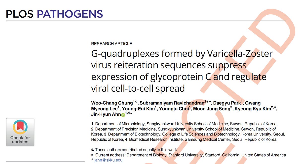 subriotech's tweet photo. New publication!!! Very happy to share my work with awesome collaborators. We show that G4 formation can control viral cell-to-cell spread in Varicella Zoster Virus
https://t.co/YGL6MrfdCb https://t.co/KMuCGWw0VG