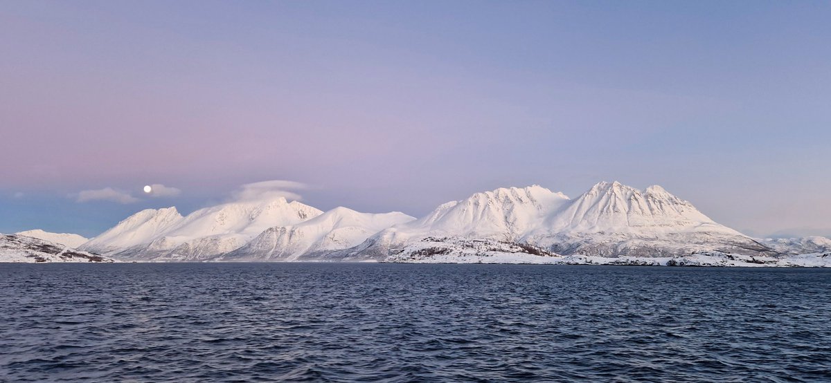 If I stay in the arctic forever I won't hate it