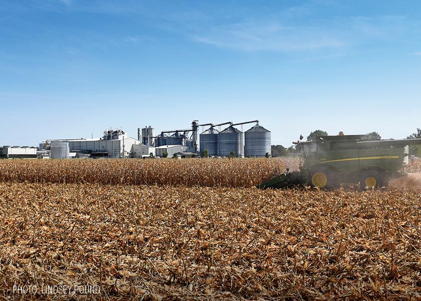 IN-DEPTH REPORTING: In USDA's annual crop production report released Thursday, USDA revealed a loss of 1.6 million acres of corn. University of Missouri's Ben Brown doesn’t think it was a miscalculation.
agweb.com/news/crops/cor…