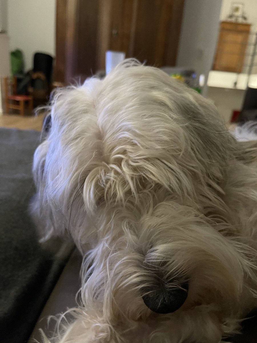 Peter4Ag's tweet photo. Jetzt mal ehrlich, die beiden haben doch den gleichen Friseur, oder?!? 😃 https://t.co/R6i1X8RO2l