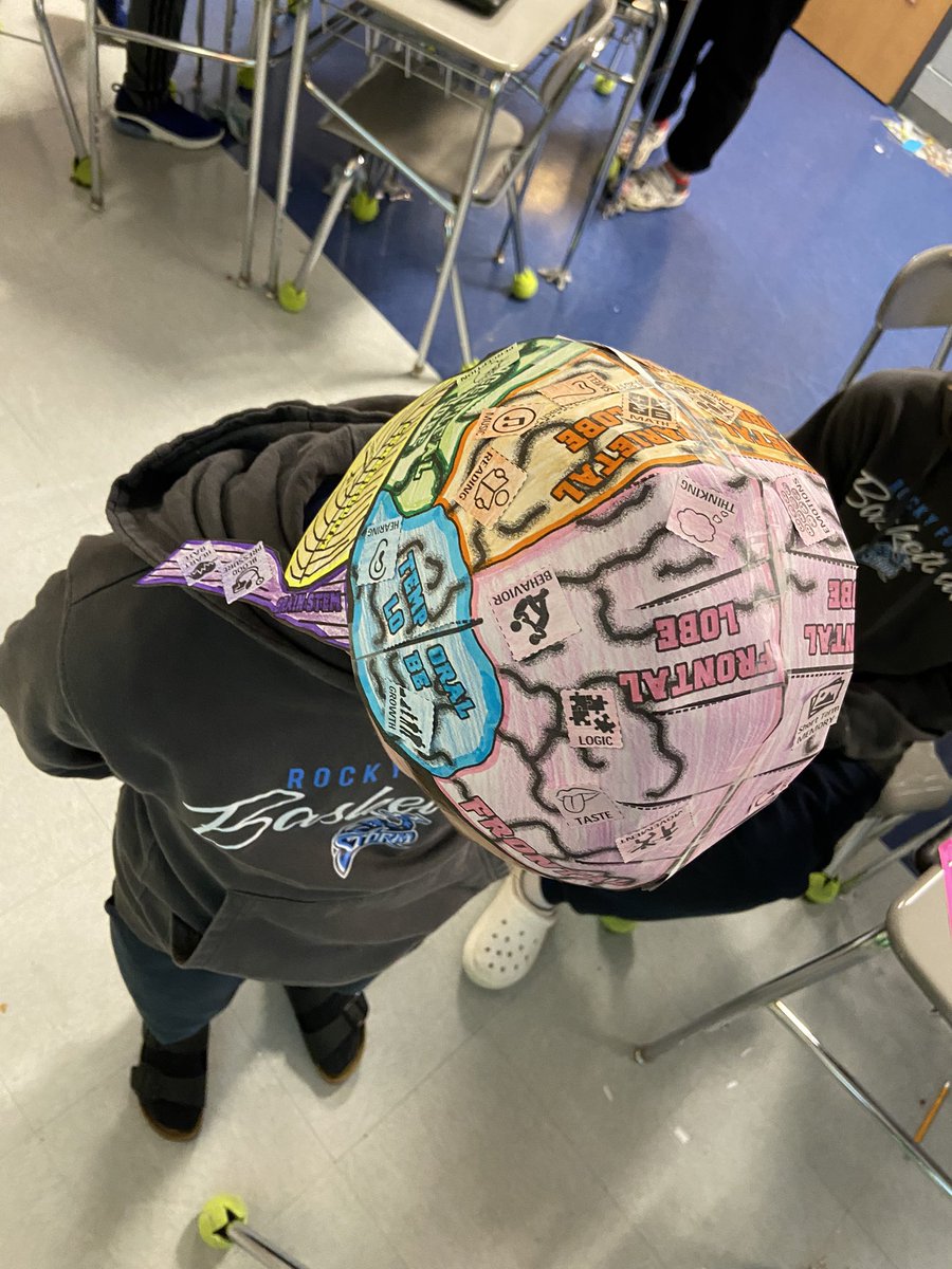 As an opener to our #amplifyela unit for 7C Brain Science, we made brain hats to map out the parts and functions our brain performs and what functions would be impacted if that part of the brain were injured. They turned out awesome (and useful)!