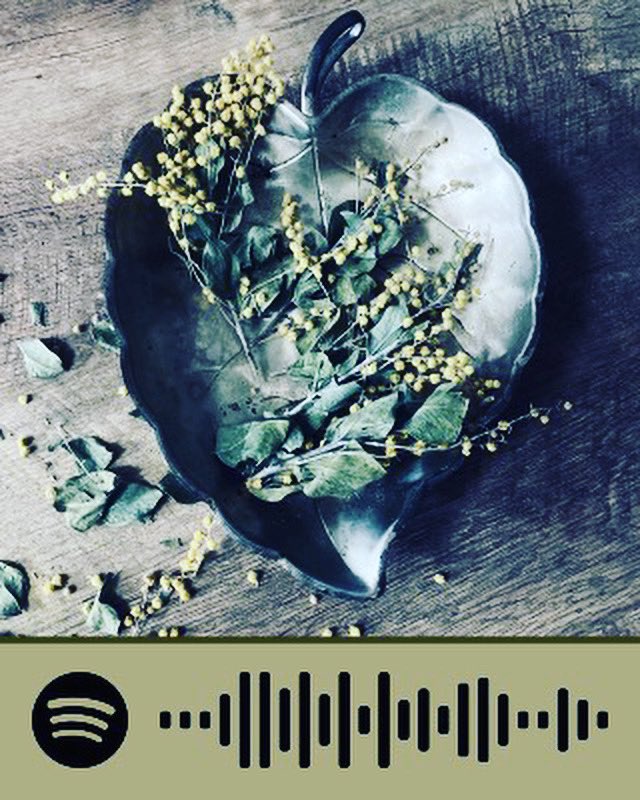 NorikoKonno's tweet photo. Konnoduo's new single mimosa that is UK songwriting contest on the Semi-Fainal .
Lake a Latin jazz Ballard.
It was released on Spotify.
#konnoduo
#newsingle
#Spotify
#instrumental
#semifainal
#uksongwritingcontest
#flute
#guitar
#conpose
#composer
#latin
#jazzballaard https://t.co/lwvvDFAkGG