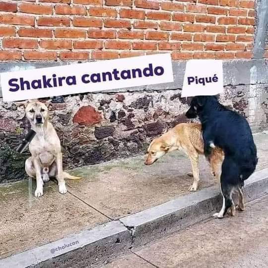 Elegido123_'s tweet photo. Yo que soy experto certificado en memes, declaro este como el mejor de todo el mame de Shakira y Piqué. https://t.co/GV7JQBhtkP