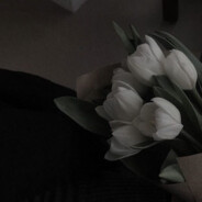 castel 🚷 tweet media