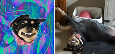 ASully1115's tweet photo. 💜🍬GIVEAWAY🍬💜

To Celebrate the Upcoming Launch of Cosmic Pets by @SaturnCandy_NFT!! 🐕

3 x🏆

🪐 1 Custom Portrait  
✨ 400 $STARS
✨ 400 $STARS

Rules:
1.  💜+♻️
2. Follow @SaturnCandy_NFT + @CryptoFranks + @steve_collins84 
3. Tag 3 friends

48hr
Ex. of Custom Portrait👇 https://t.co/wWELhMOEkU