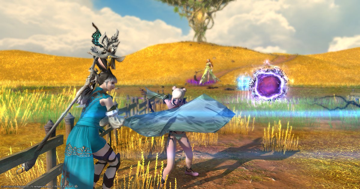 syl_phy's tweet image. I need you all to see this incredibly cursed screenshot I found trying to see if i grabbed any shots of weird jumping bodies from the DC patch adventures #ffxiv #patchday #FFXIVspoilers