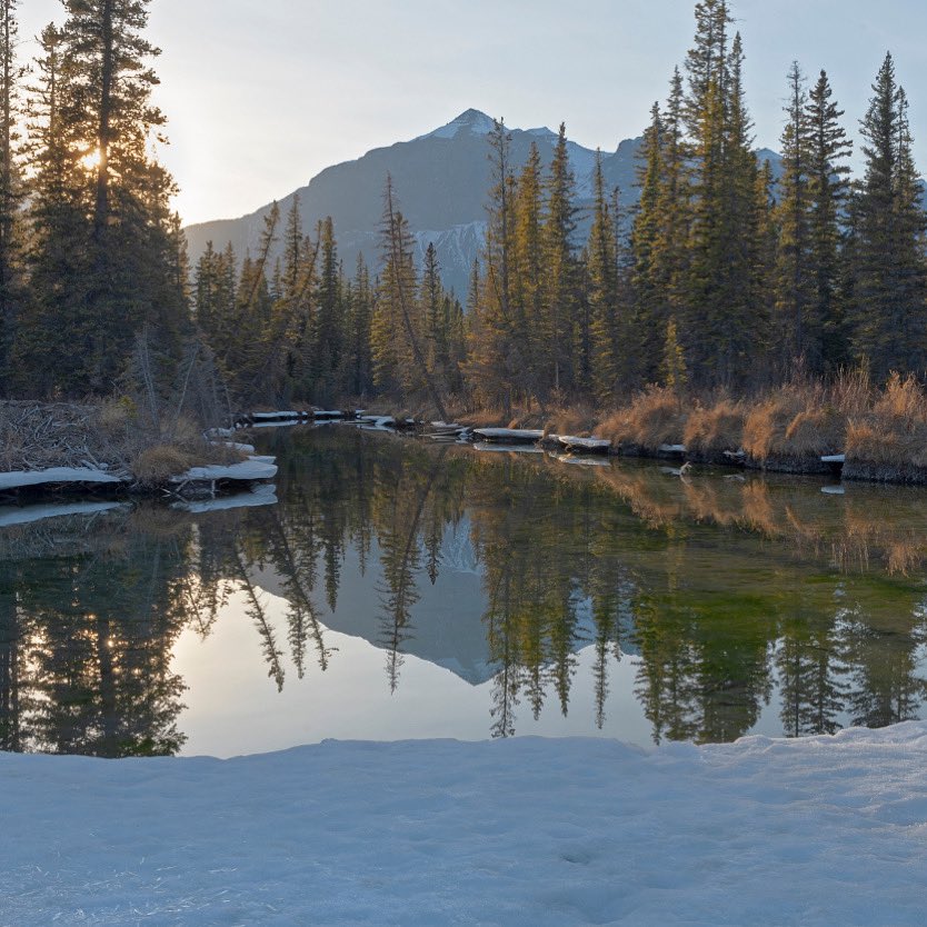 Bold Homes YYC tweet media