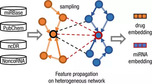 JCIM_JCTC's tweet image. Dual-Channel Heterogeneous #GraphNeuralNetwork for Predicting #microRNA-Mediated Drug Sensitivity GNNs #drugdesign 
pubs.acs.org/doi/10.1021/ac… 
#vol62 #issue23 #JCIM #MachineLearning #DeepLearning