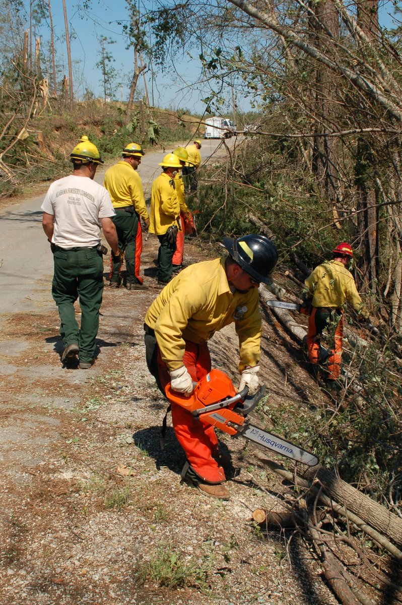 In the wake of storms across the state, the Alabama Forestry Commission deployed 4-, 5-, and 6-man saw teams to 4 counties. At least 9 AFC crews are clearing roads with chainsaws and dozers, opening paths for emergency responders. When disaster strikes, the AFC is on the scene.