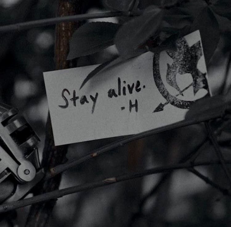 bridgertoncut's tweet photo. ⌗ 2. Em Chamas - Suzanne Collins

 ❝– Então o que a gente devia fazer nos nossos últimos dias?
– Só quero passar todos os minutos possíveis do resto da minha vida com você – responde Peeta.❞

★| 5.0 https://t.co/6EM378iJeN