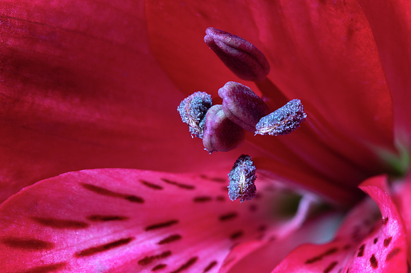 Erin McCandless Photography tweet media