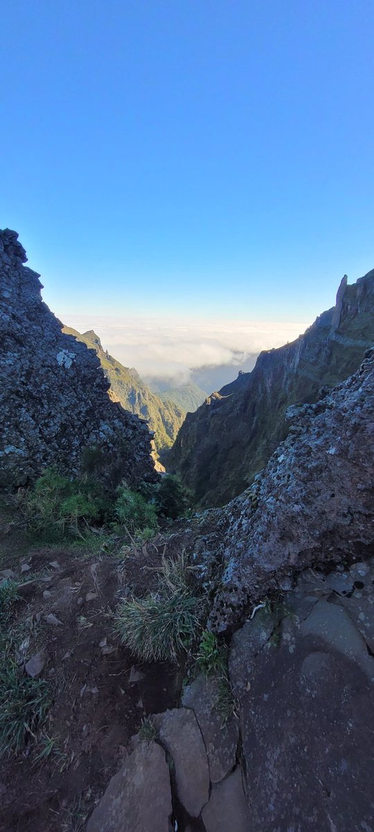 An amazing day around Pico Ruivo in Madeira today. First time up here but hopefully not the last! T-shirt and shorts at 1,800m in January and only 4 hours away!