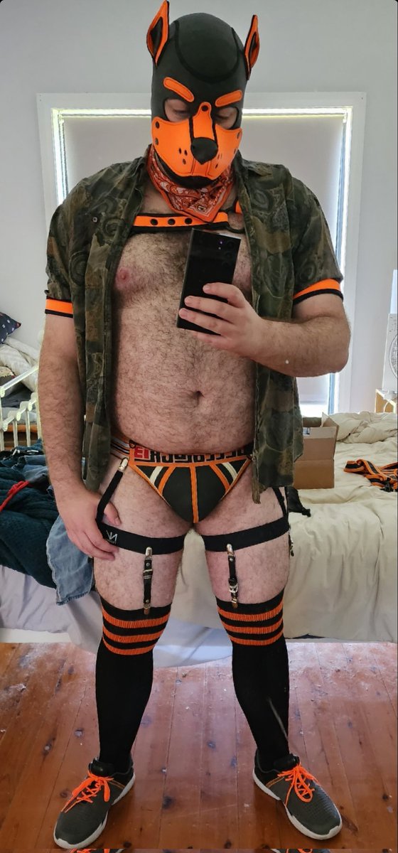 Cur1ousCub tweet media