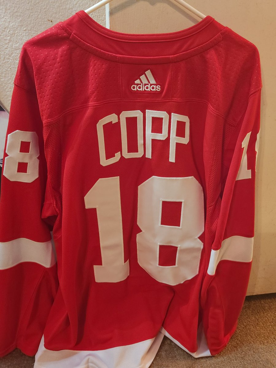 @cpb_Bogs @DetroitRedWings @SociosUSA Yes! I got a jersey for him too! 😂 👍 #LGRW