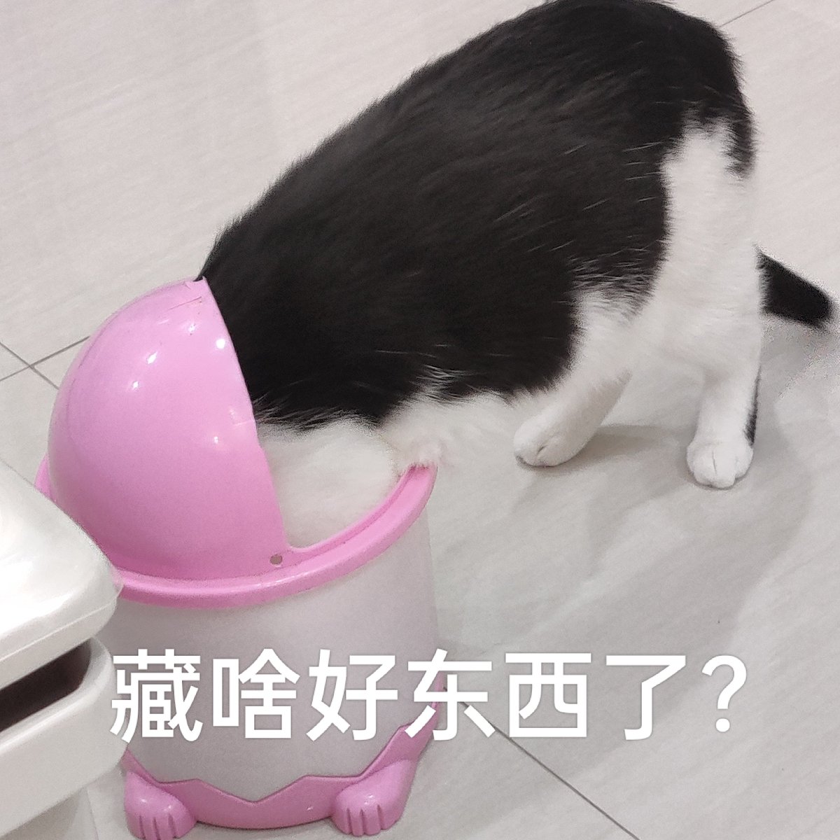 __sirou_'s tweet photo. @Biantaishuishui 这题我会！ https://t.co/rEhZVVdAml